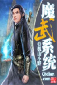 魔武系统