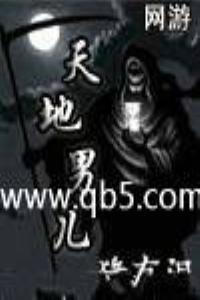 网游之天地男儿