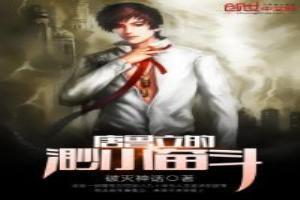 唐鲁立的渺小奋斗